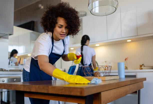 Housemaid